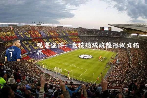 观赛证件:竞技场域的隐形权力拓扑
